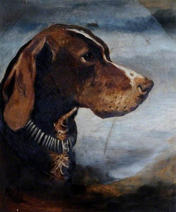 Portrait of a dog