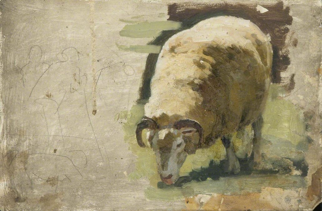 Unfinished drawing of sheep